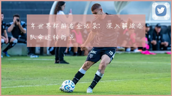 年世界杯排名全记录:深入解读各队命运转折点